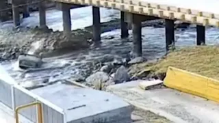 Video: se distrajo por su perra, cayó con su auto al río y ambas resultaron ilesas de milagro